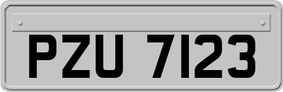 PZU7123