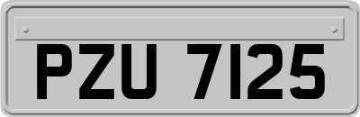 PZU7125