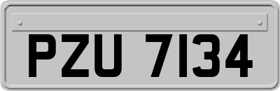 PZU7134