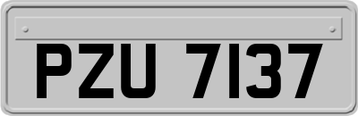 PZU7137