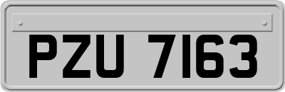 PZU7163