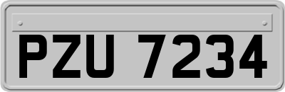 PZU7234