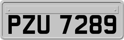 PZU7289