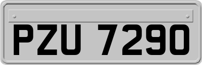 PZU7290