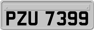 PZU7399