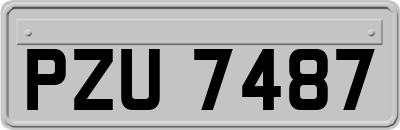 PZU7487