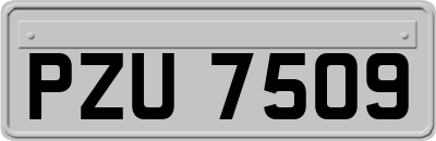 PZU7509