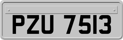 PZU7513