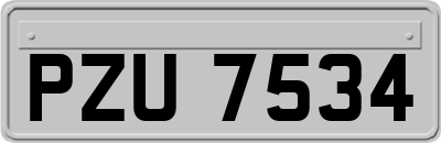 PZU7534