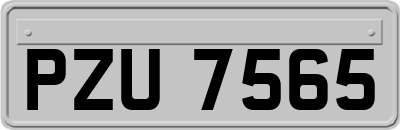 PZU7565