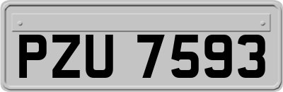 PZU7593