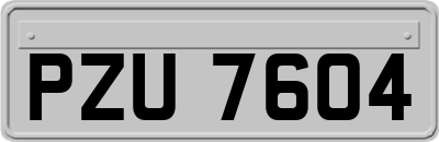 PZU7604