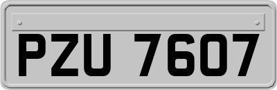 PZU7607