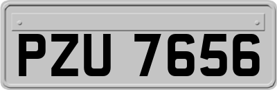 PZU7656