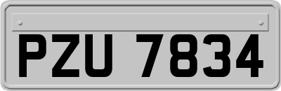 PZU7834