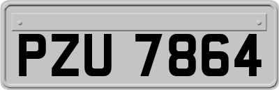 PZU7864