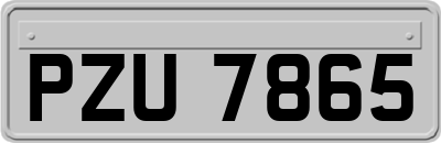 PZU7865