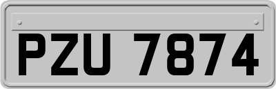 PZU7874