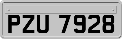 PZU7928