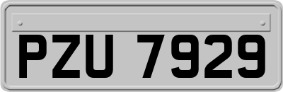 PZU7929