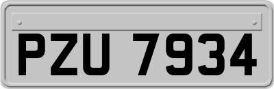 PZU7934