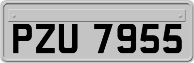 PZU7955