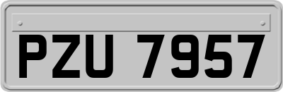 PZU7957