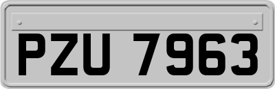 PZU7963