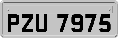 PZU7975