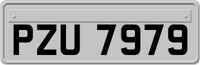 PZU7979