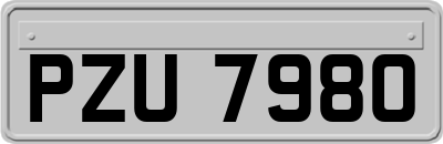 PZU7980