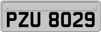 PZU8029