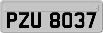 PZU8037