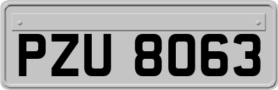 PZU8063