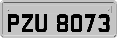 PZU8073