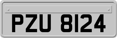 PZU8124