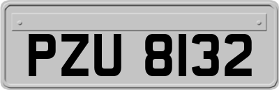 PZU8132