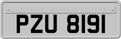 PZU8191