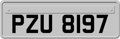 PZU8197