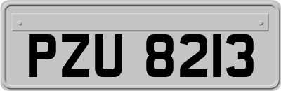 PZU8213