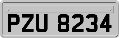 PZU8234