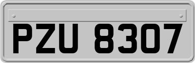 PZU8307