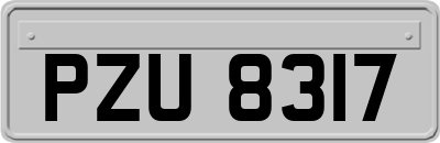 PZU8317