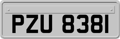 PZU8381