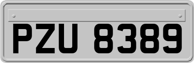 PZU8389