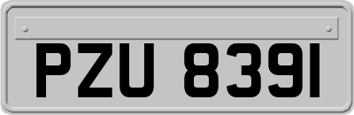 PZU8391