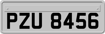 PZU8456