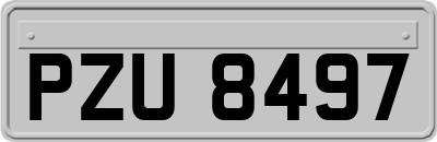 PZU8497