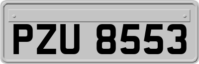 PZU8553