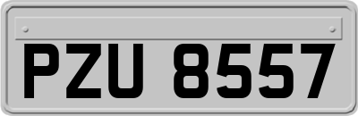 PZU8557